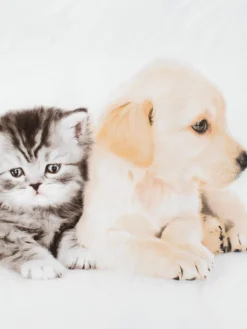 Dekbedovertrek KAYA micro 140x200 wit