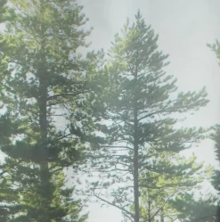 Douchegordijn AVESTA 150x200 fotoprint