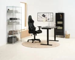 Gamestoel TYPE Z RAZER ed.邃