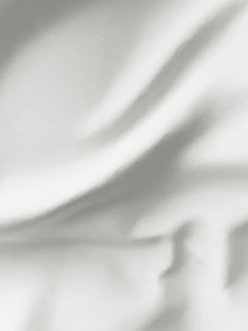 Gordijn ANTEN 1x140x175 naturel