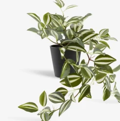 Kunstplant ASGAR H24cm groen