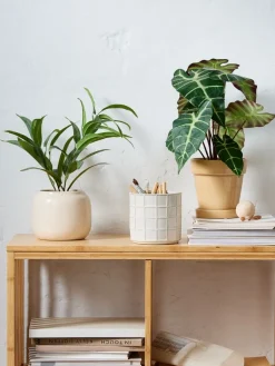 Kunstplant LARSSON Ø11xH43cm groen