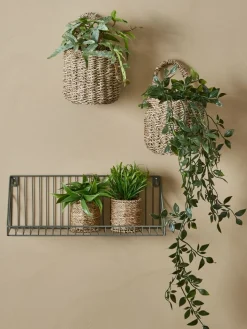 Kunstplant OLIVER met hangpot