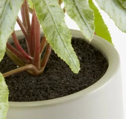 Kunstplant OLSEN Ø9xH20cm met pot