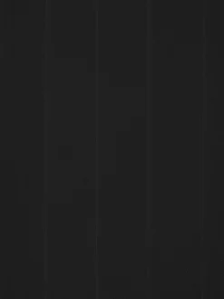 Lamellen ROGEN 100x250 zwart