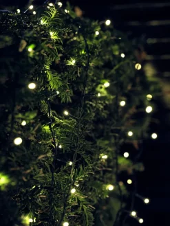 LED lichtsnoer ELDE L4995cm 1000LED en timer