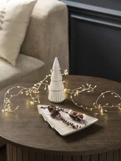 LED lichtsnoer TURKENIT L250 cm 100LED