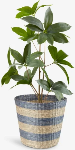 Mand VESTER Ø35xH30cm zeegras