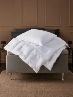 Muskusdons kussen 60x63/70 STORRONDEN medium