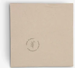 Papieren servetten THOR 33x33 cm 20 stuks