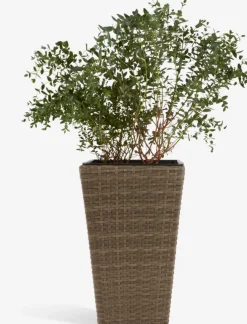 Plantenbak BLOMMOR B31xL31xH50 naturel