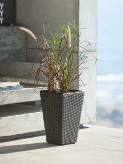 Plantenbak BLOMMOR B31xL31xH50 zwart