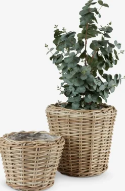 Plantenbak RINGTROST Ø37/32 kubu naturel 2 stuks