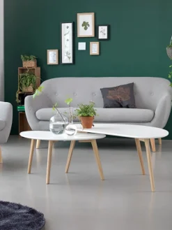 Salontafel LEJRE 60x120 wit/eiken