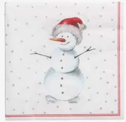 Servetten AKVAMARIN B33xL33 20 stuks assorti