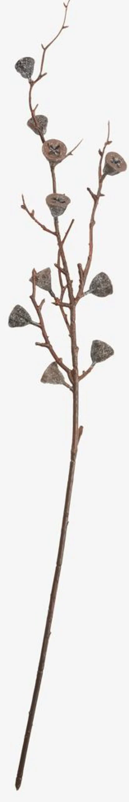 Tak BORE Ø11xH68 cm bruin