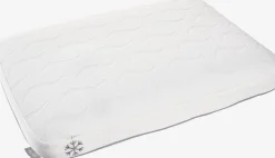 Traagschuim kussen 40x60x13 WELLPUR VARDO